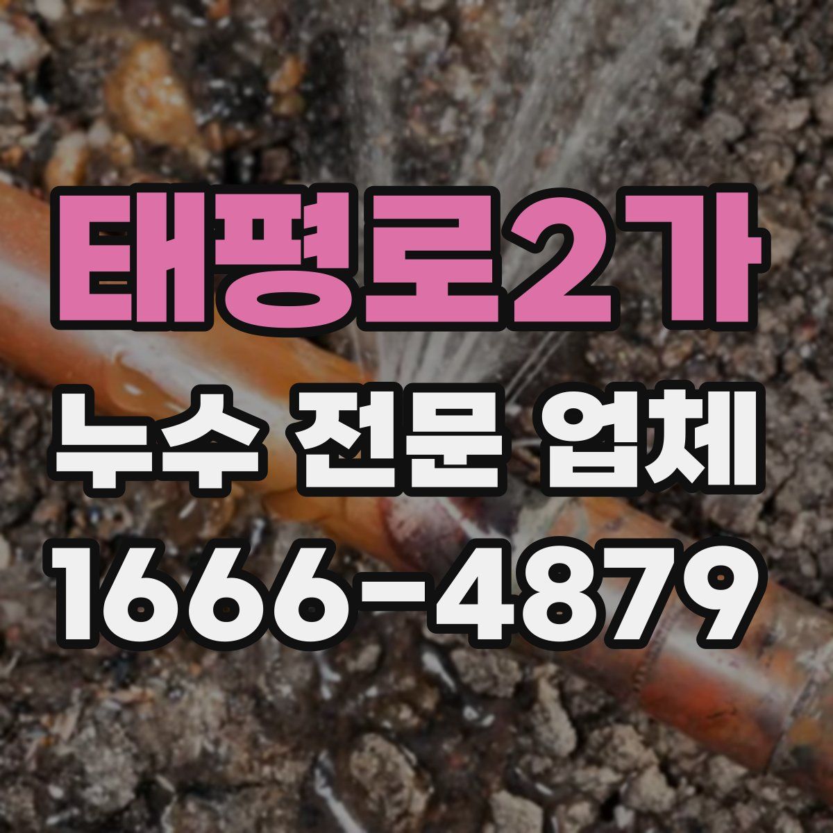 태평로2가 누수 전문 업체