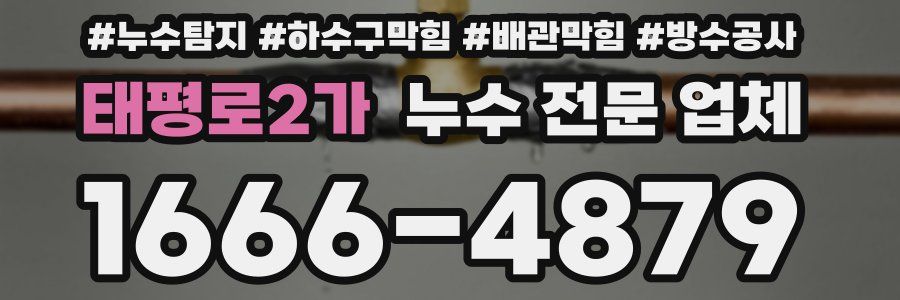 태평로2가 누수 전문 업체