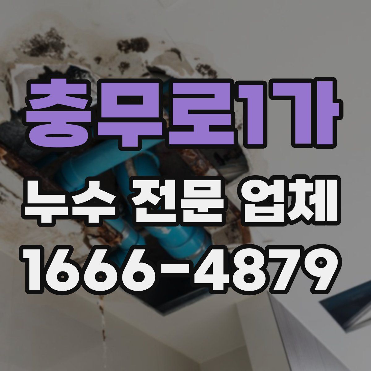충무로1가 누수 전문 업체