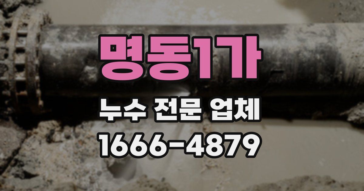 명동1가 누수 전문 업체