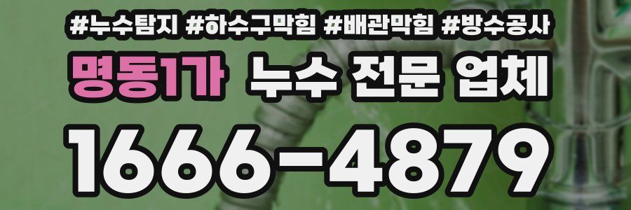 명동1가 누수 전문 업체