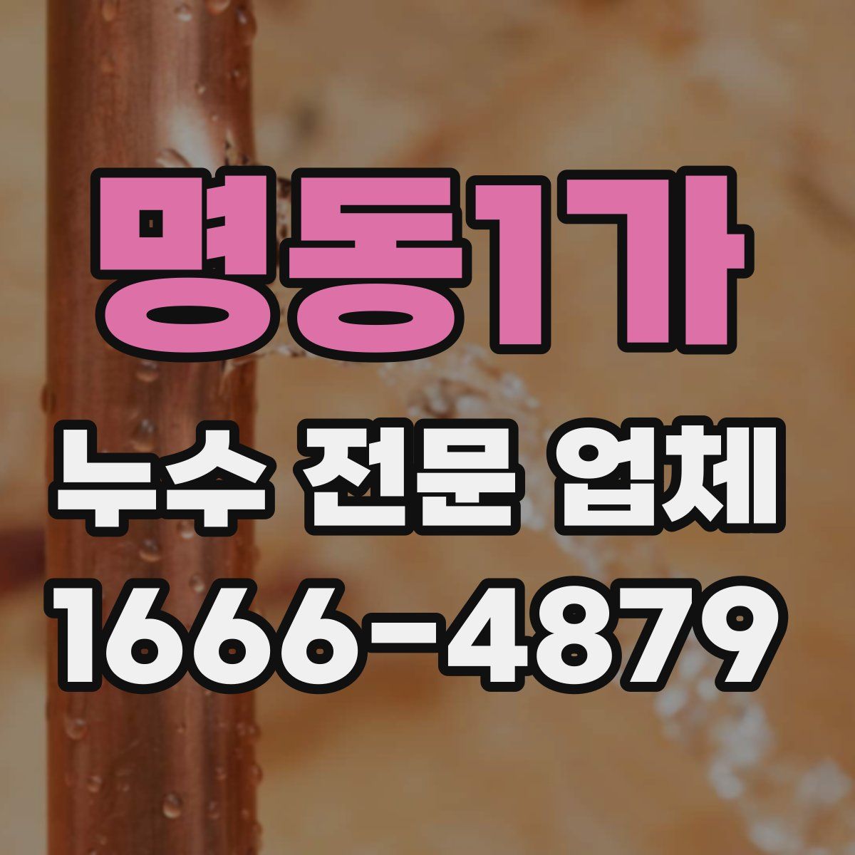 명동1가 누수 전문 업체