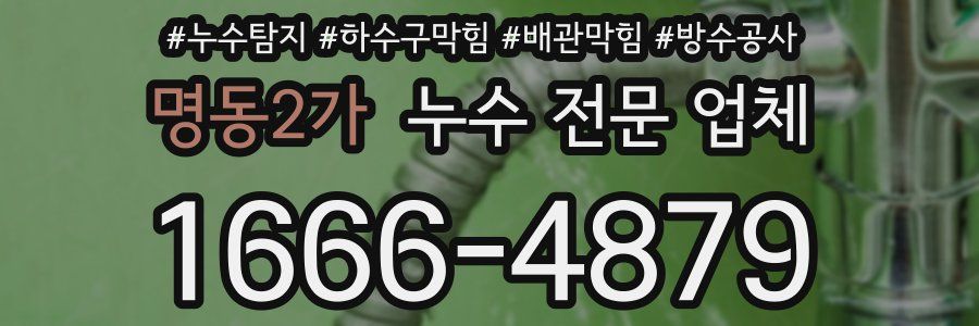 명동2가 누수 전문 업체