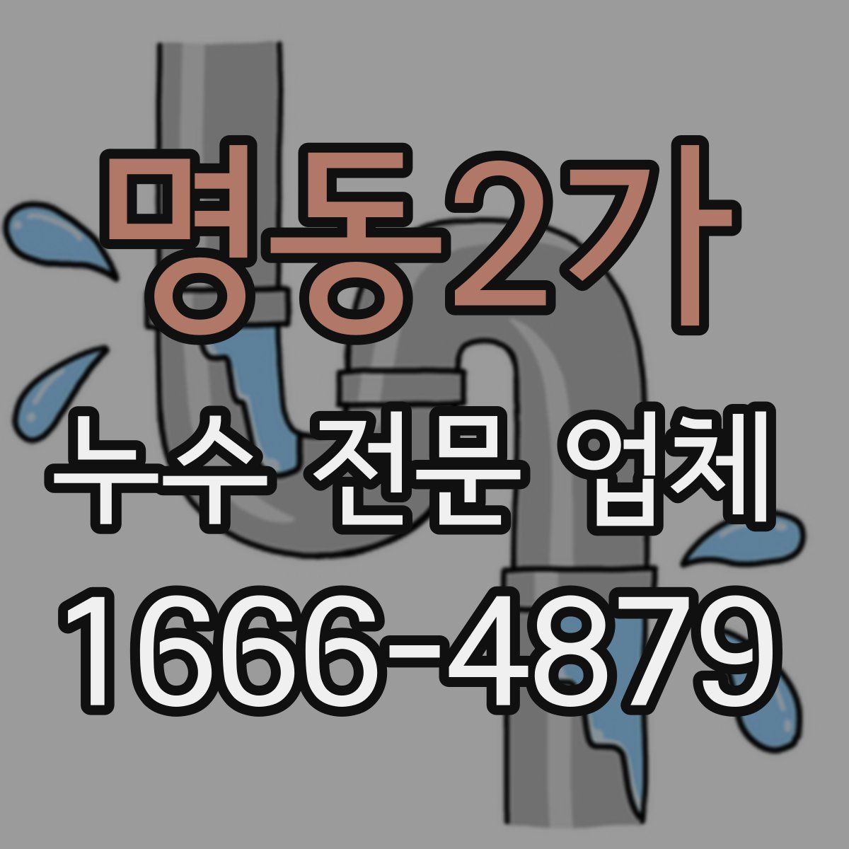 명동2가 누수 전문 업체