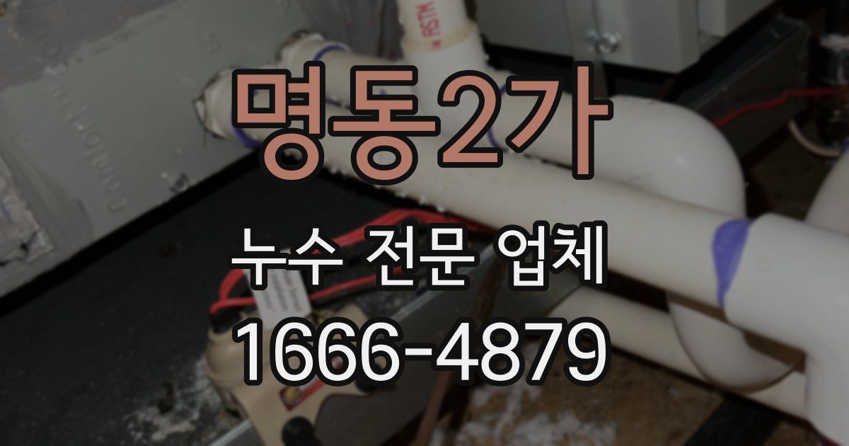 명동2가 누수 전문 업체