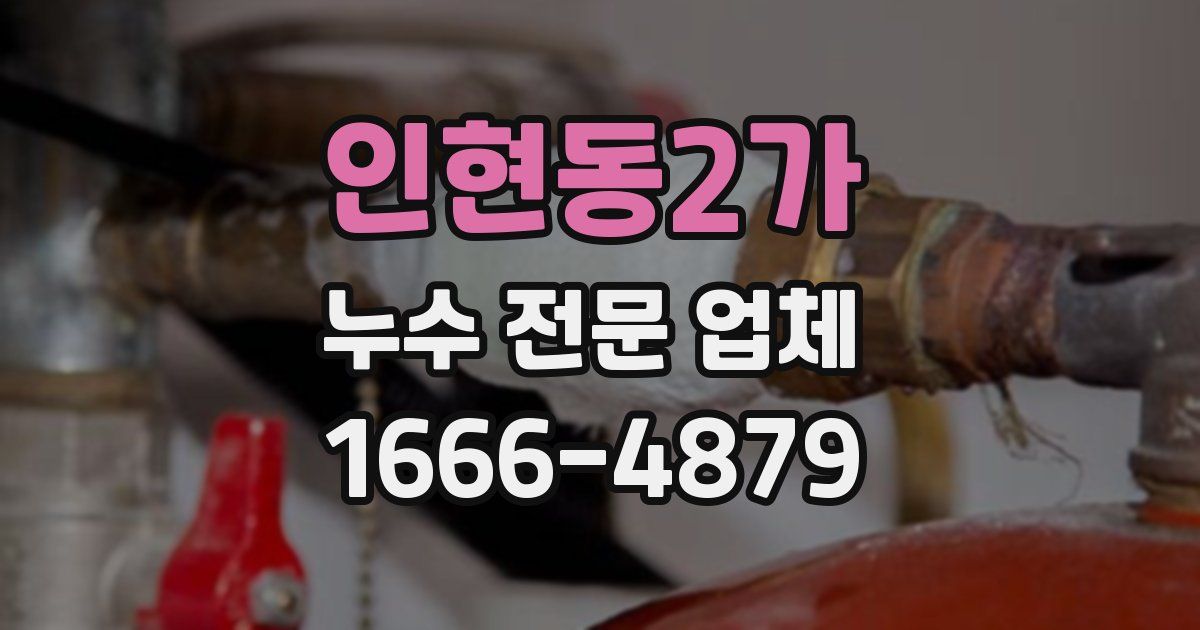 인현동2가 누수 전문 업체