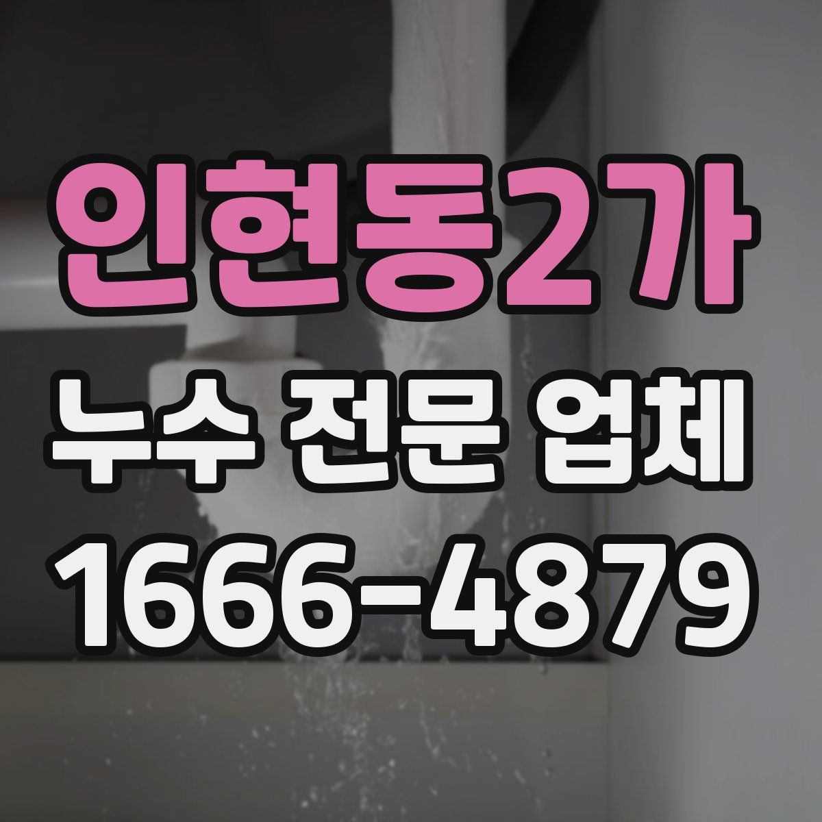 인현동2가 누수 전문 업체