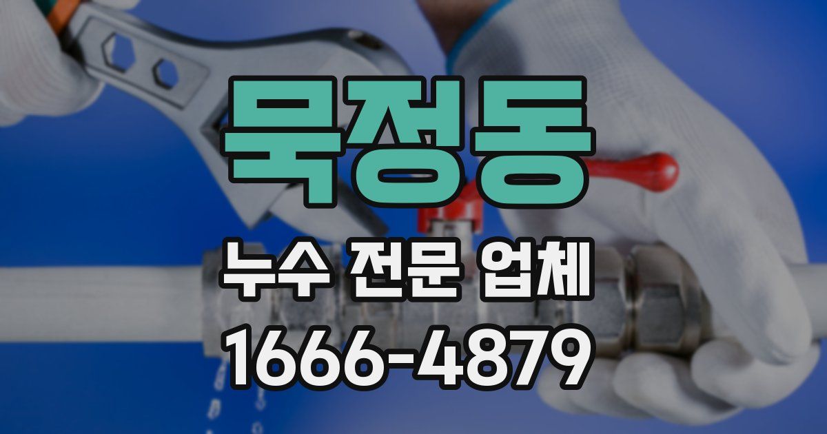 묵정동 누수 전문 업체