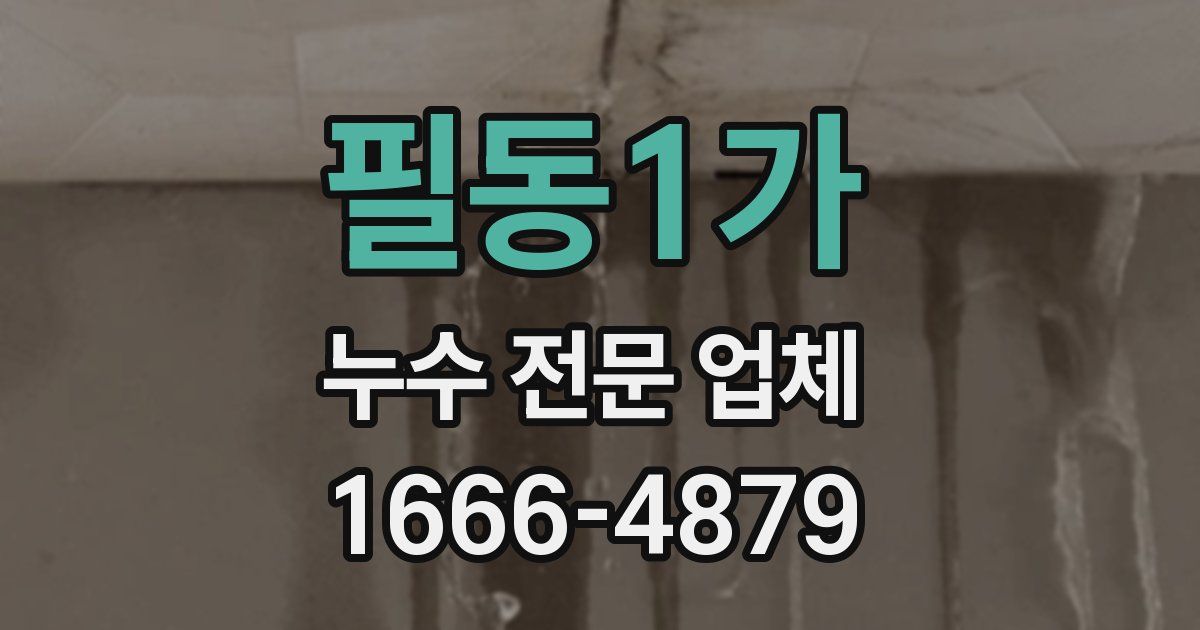 필동1가 누수 전문 업체