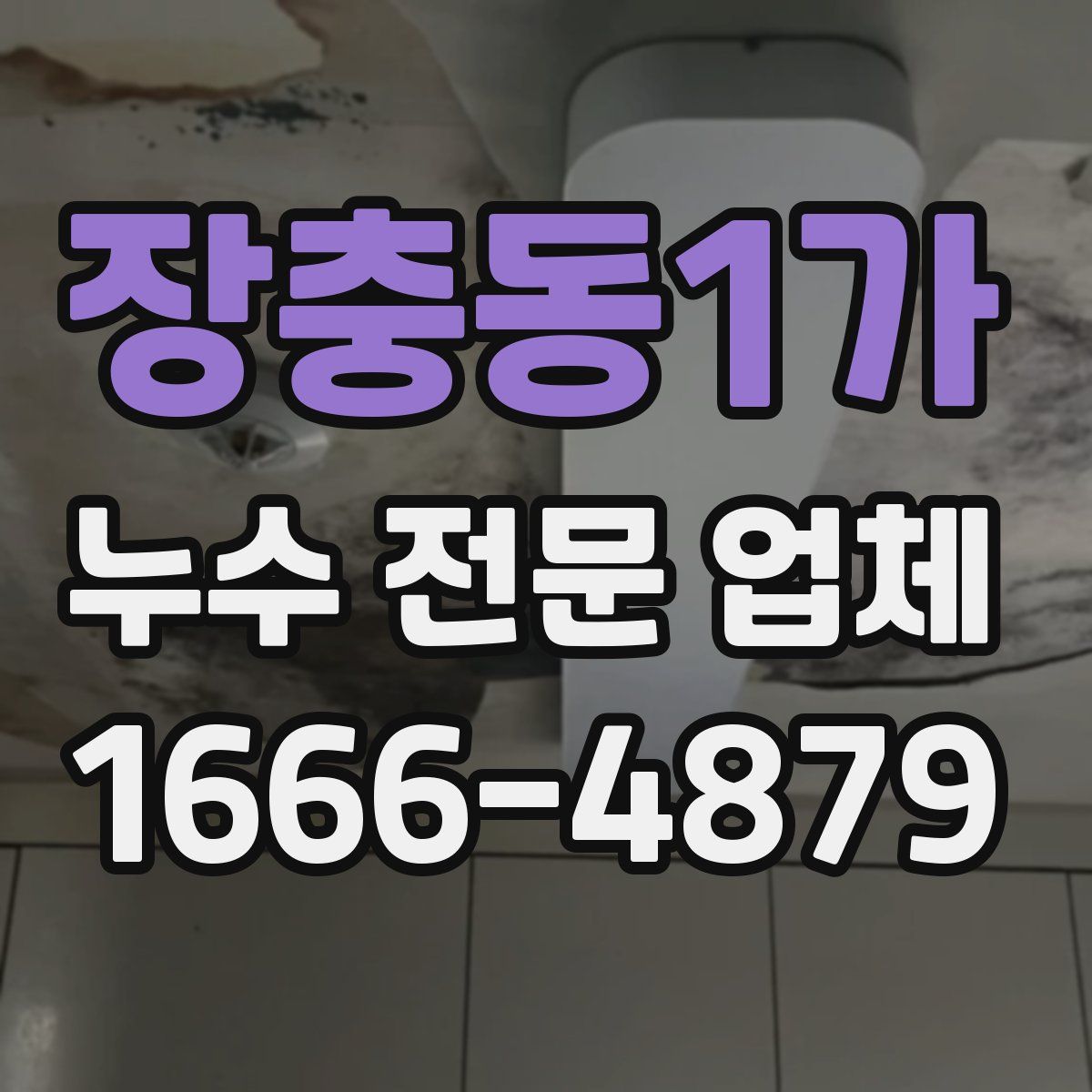 장충동1가 누수 전문 업체
