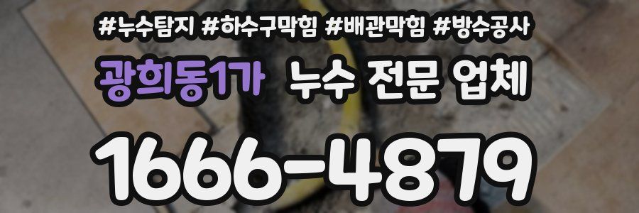 광희동1가 누수 전문 업체