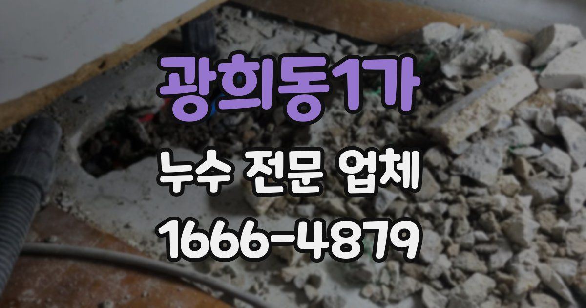 광희동1가 누수 전문 업체