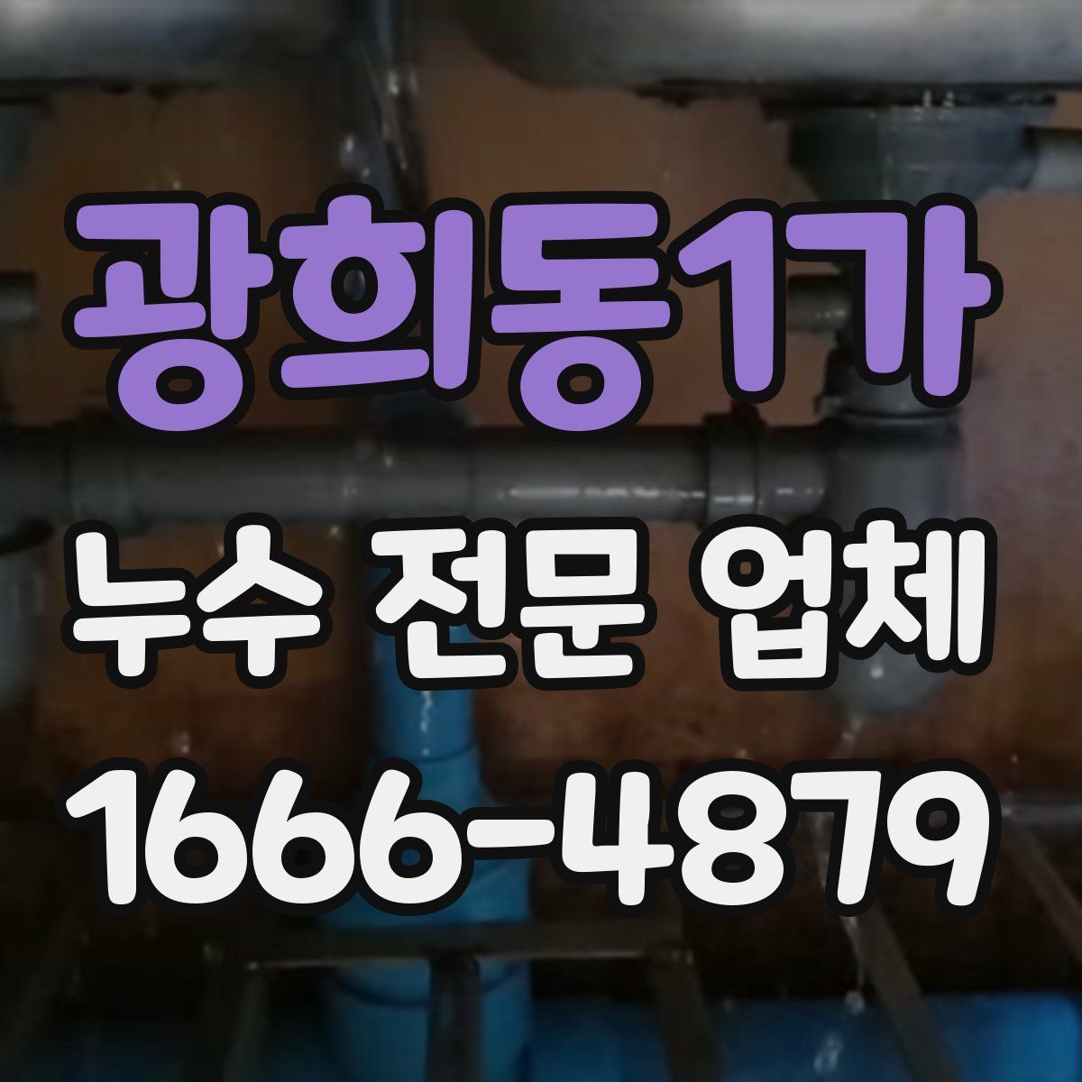 광희동1가 누수 전문 업체