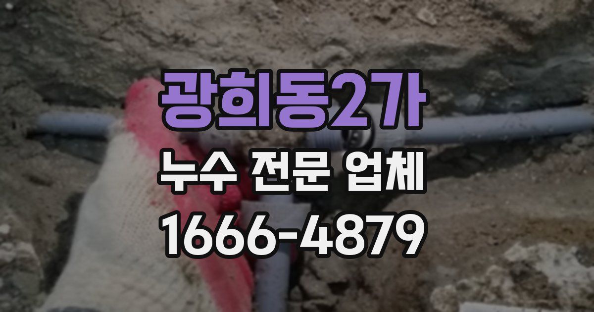 광희동2가 누수 전문 업체