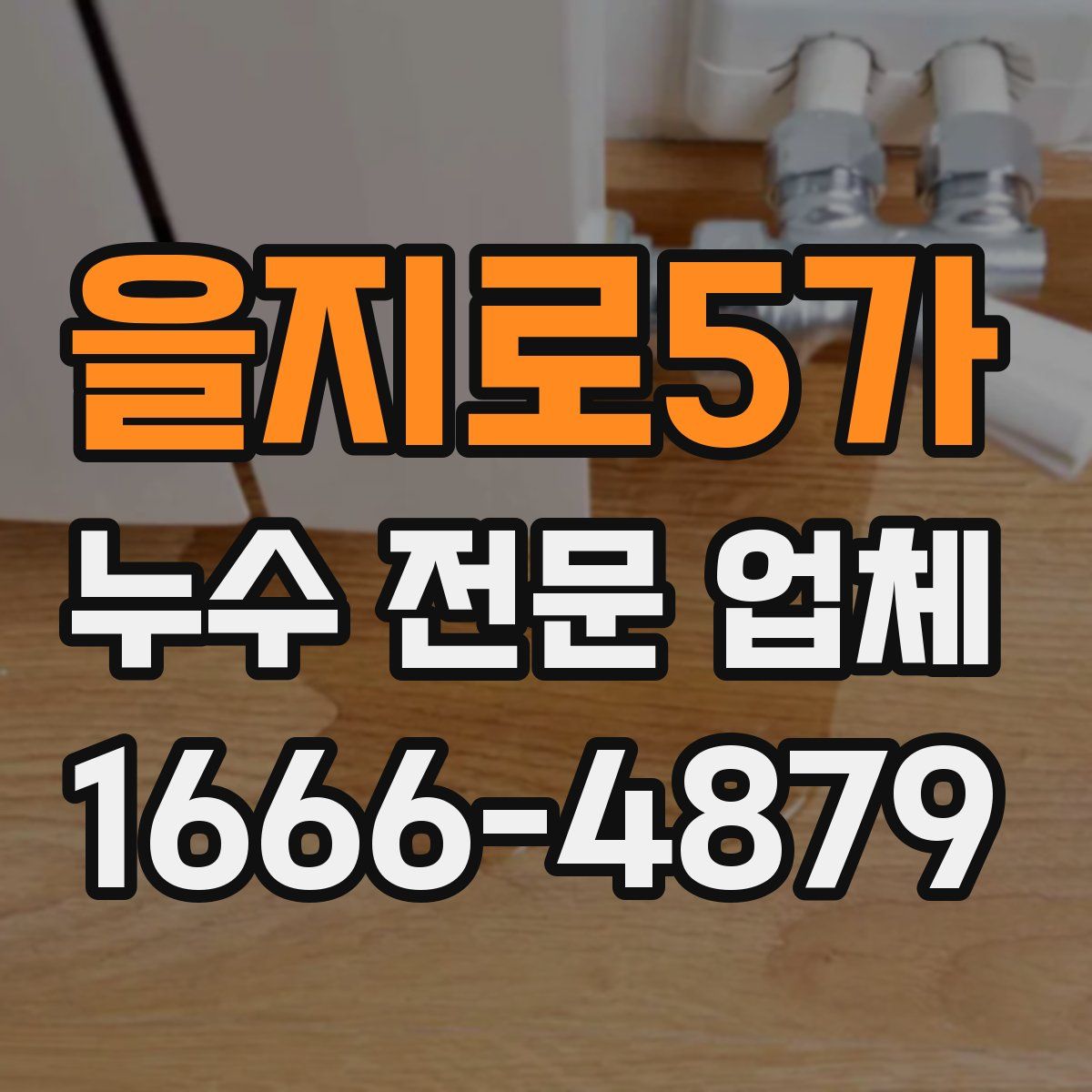 을지로5가 누수 전문 업체