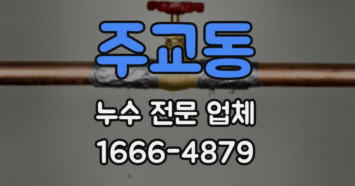 주교동 누수 전문 업체