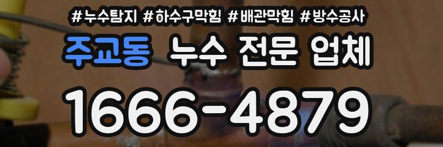 주교동 누수 전문 업체