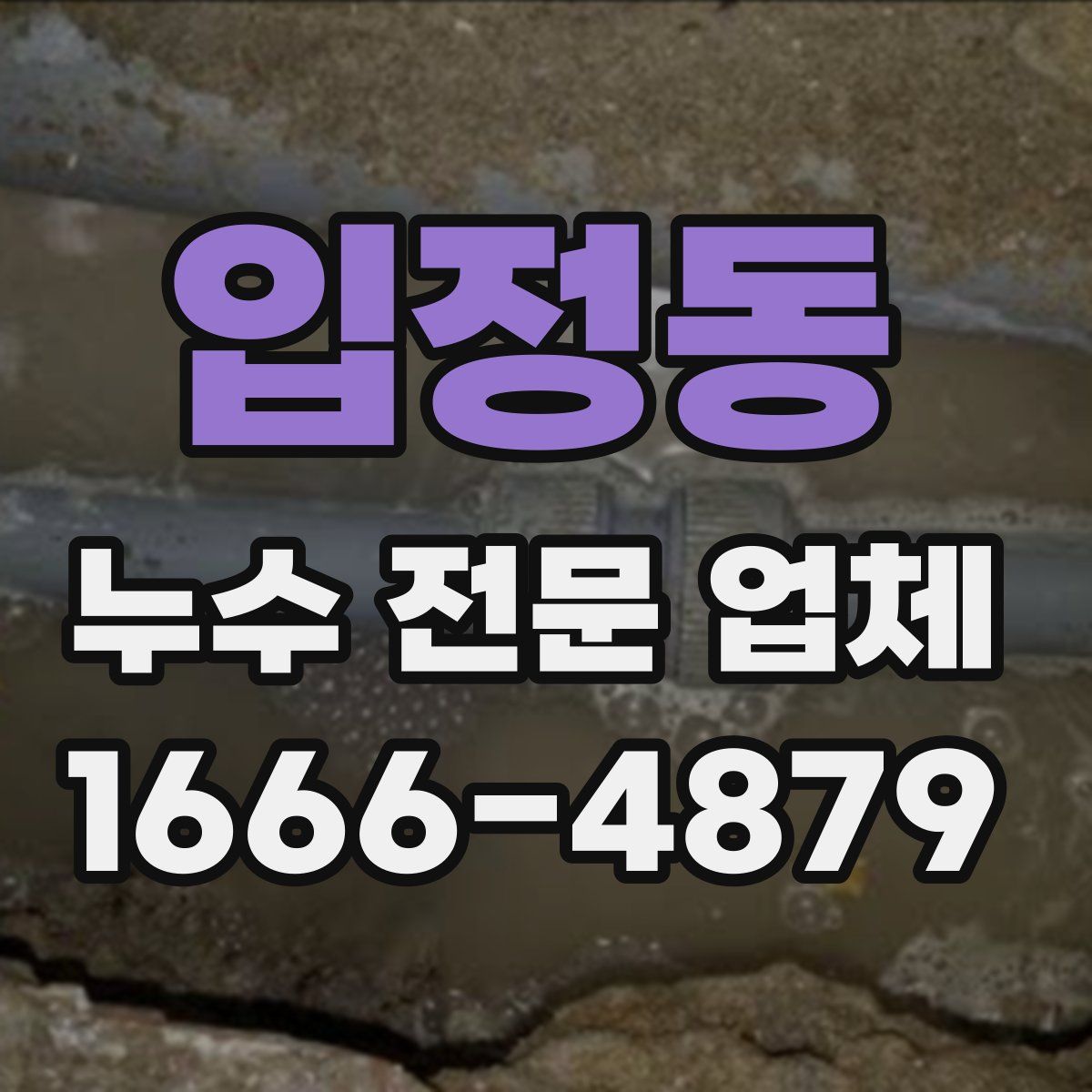 입정동 누수 전문 업체