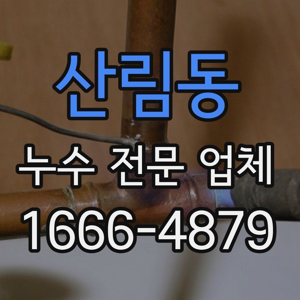 산림동 누수 전문 업체