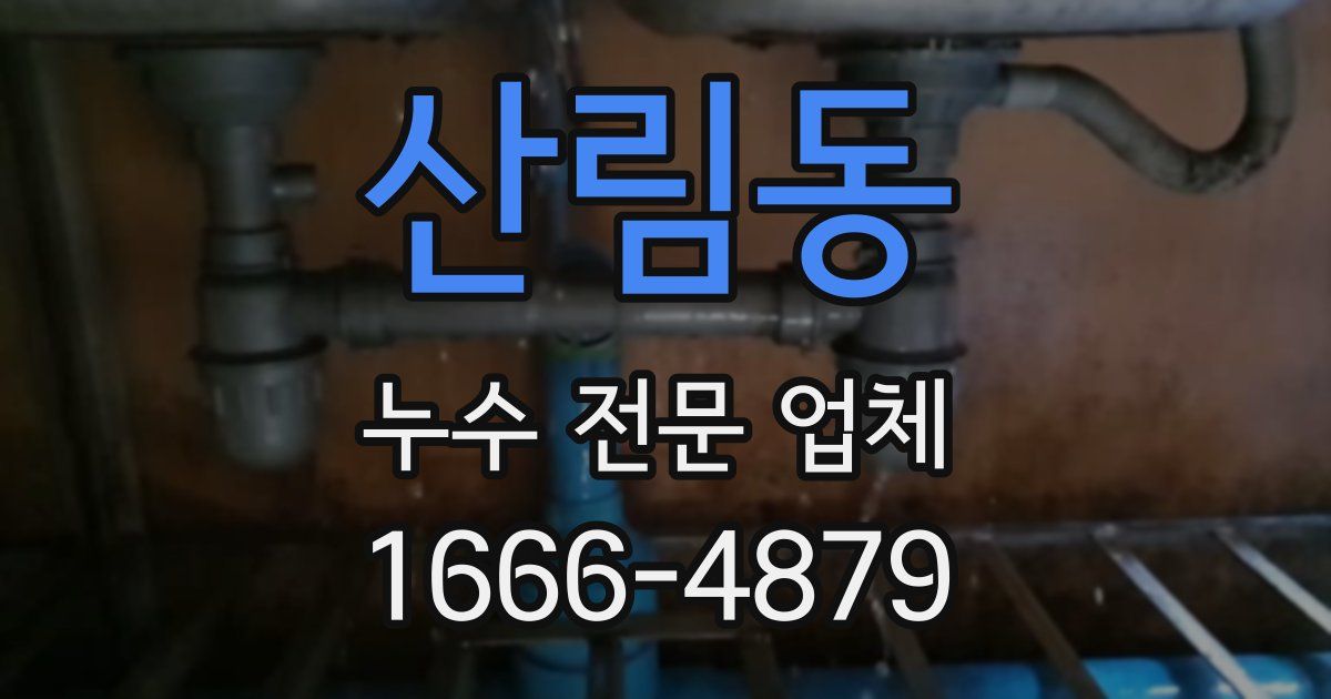 산림동 누수 전문 업체