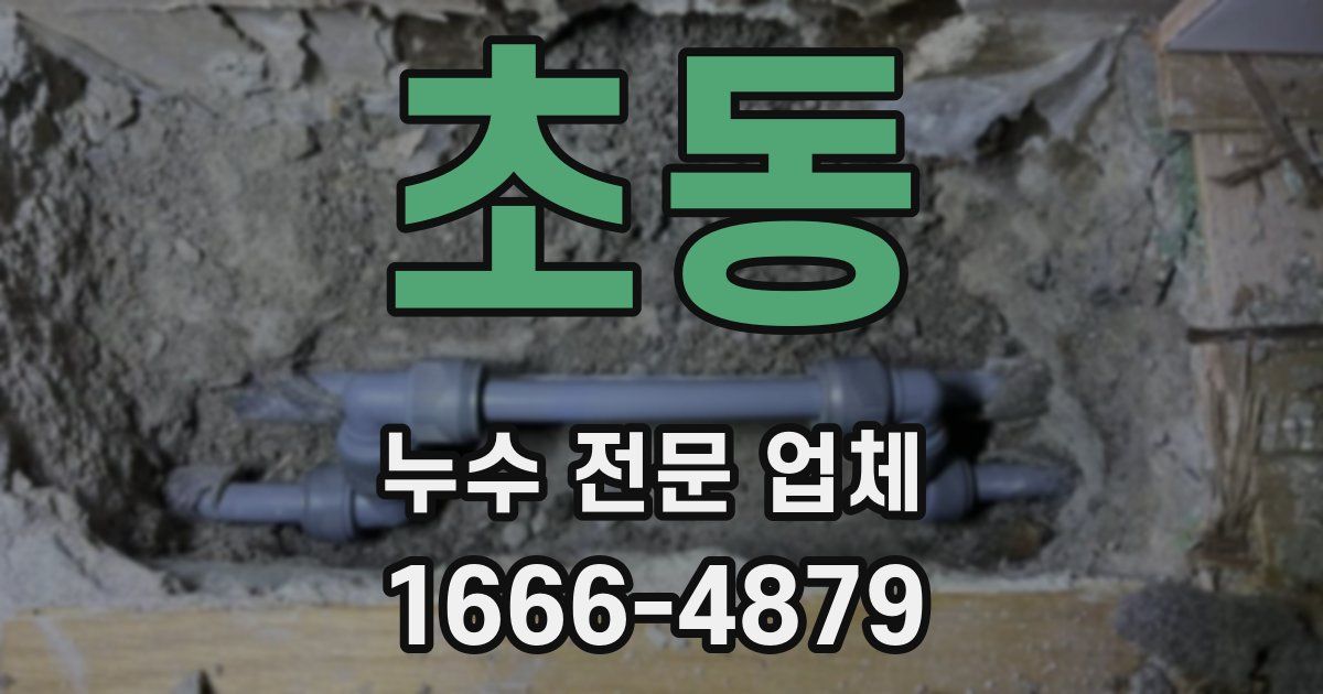 초동 누수 전문 업체
