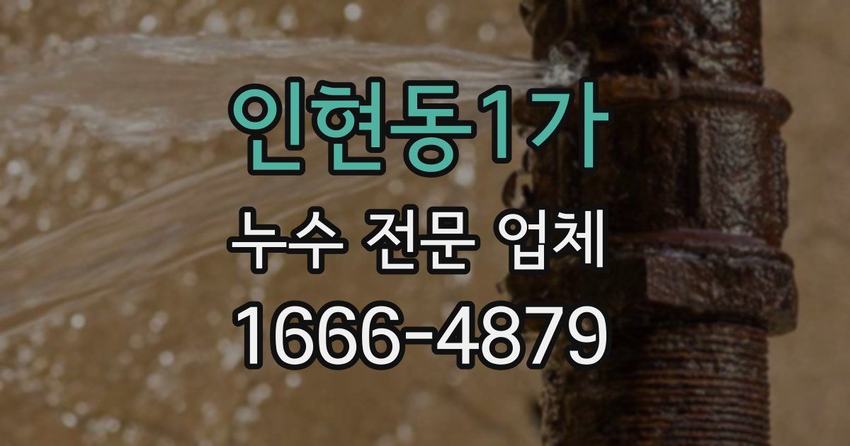 인현동1가 누수 전문 업체
