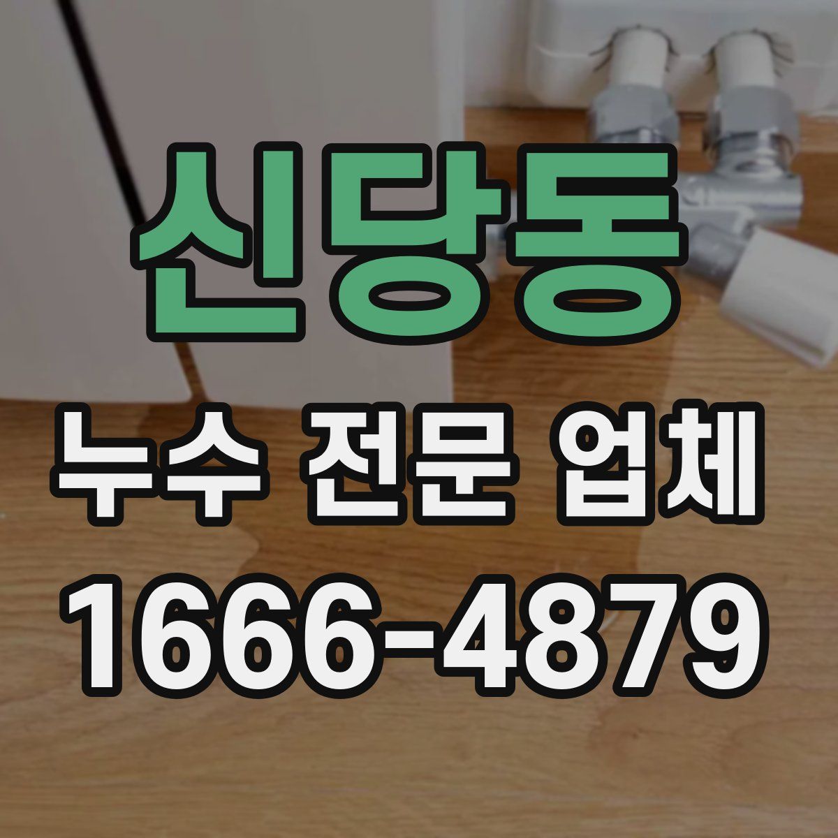신당동 누수 전문 업체