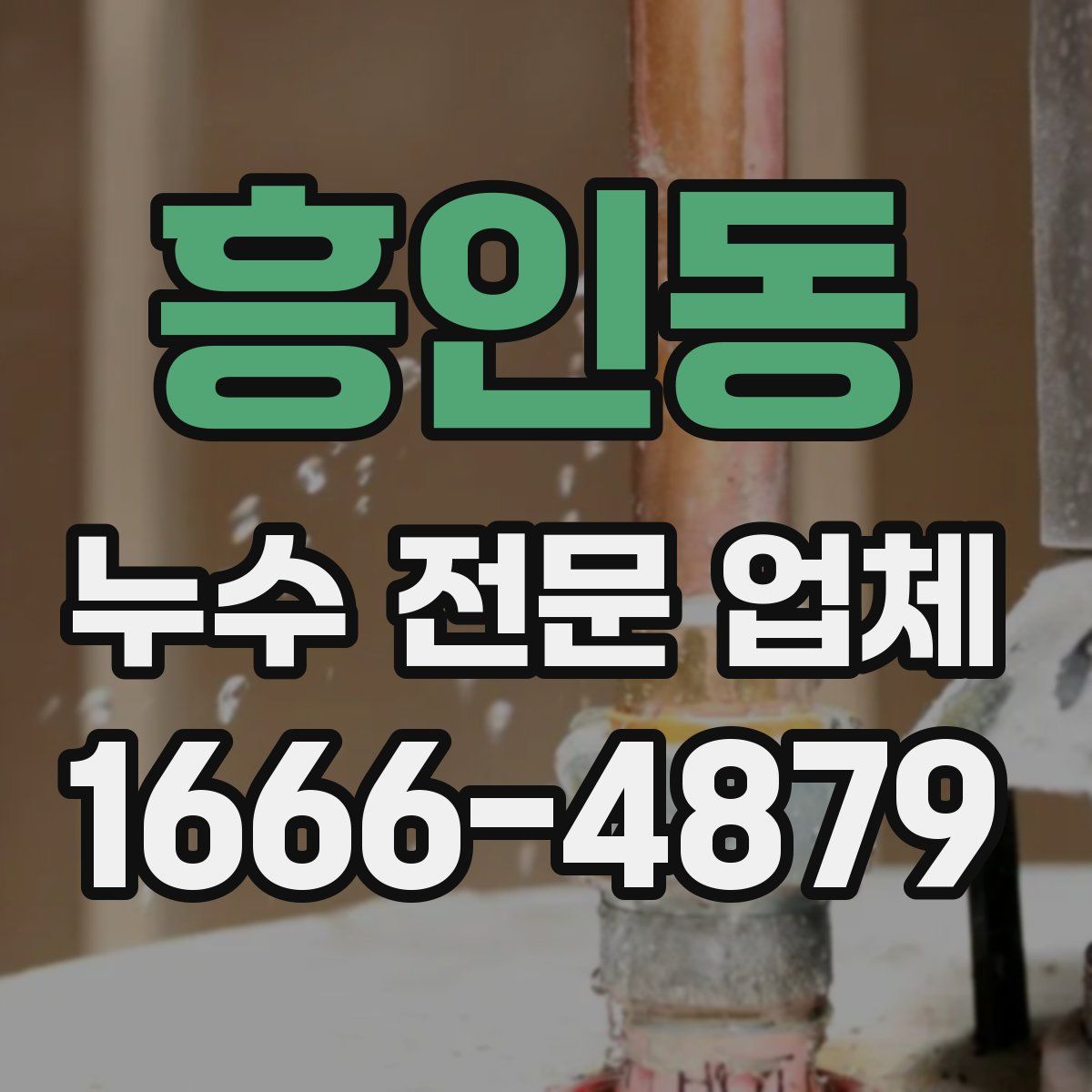흥인동 누수 전문 업체
