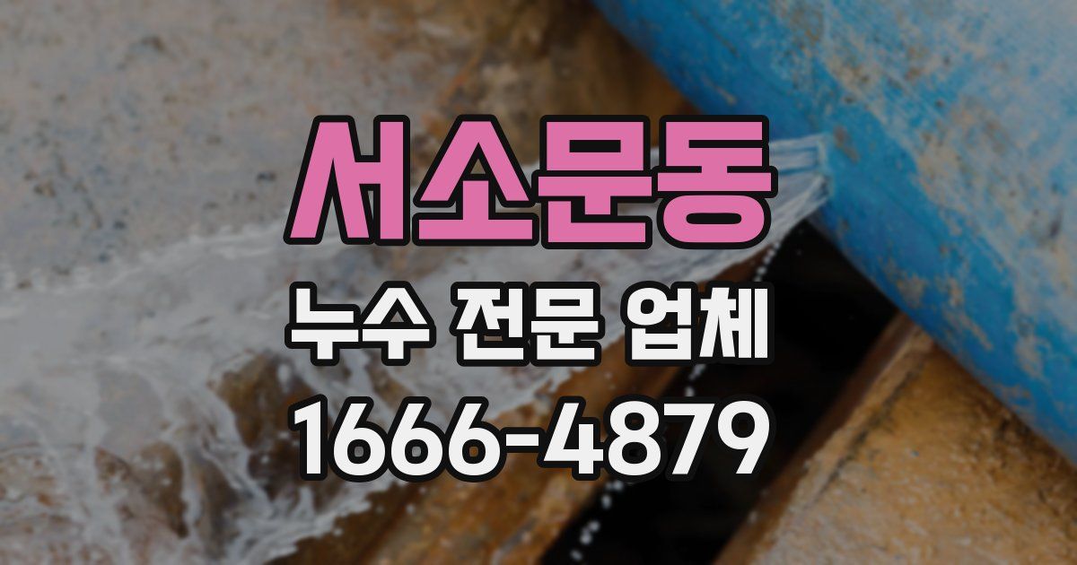 서소문동 누수 전문 업체