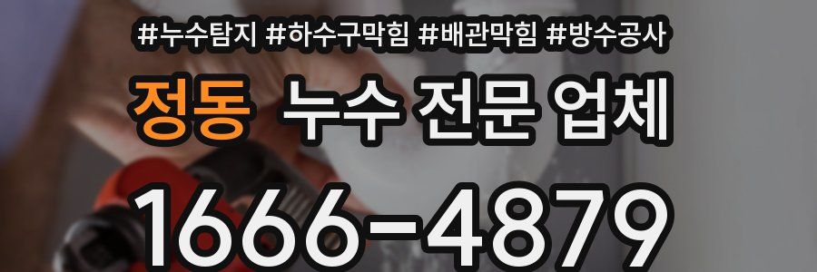 정동 누수 전문 업체