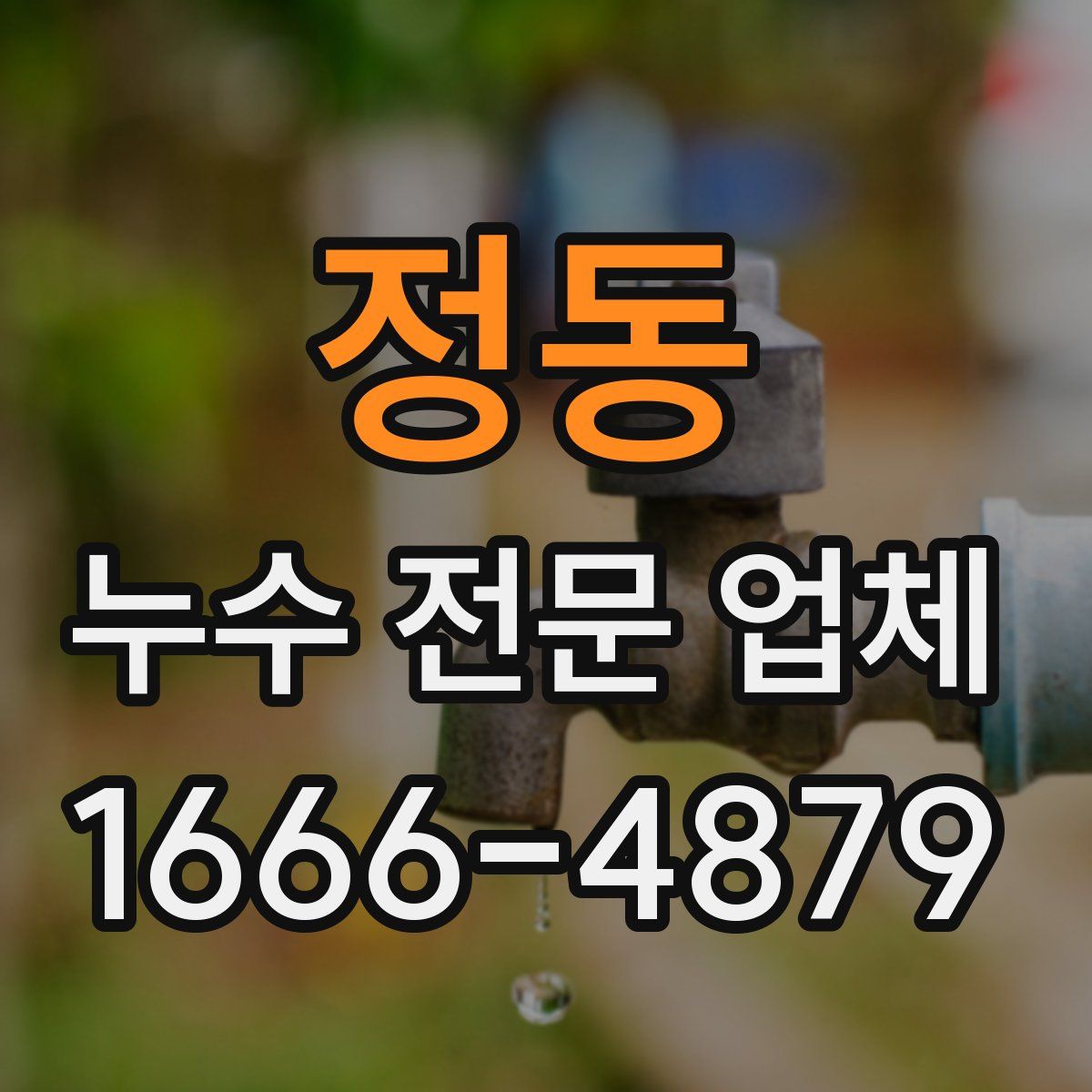 정동 누수 전문 업체