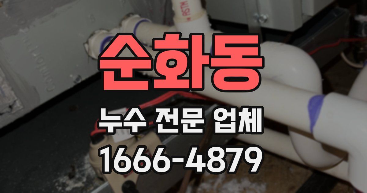 순화동 누수 전문 업체