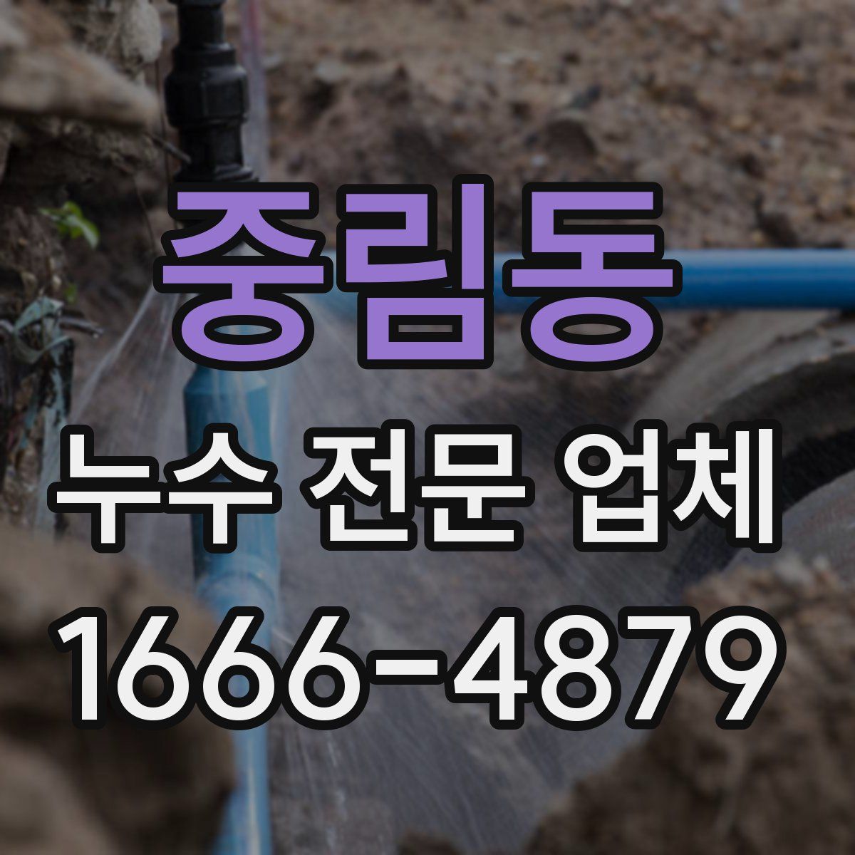 중림동 누수 전문 업체