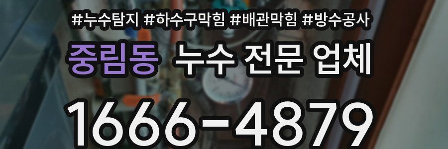 중림동 누수 전문 업체