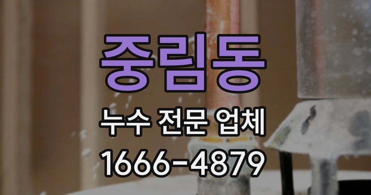 중림동 누수 전문 업체