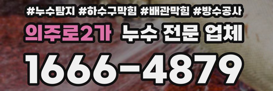 의주로2가 누수 전문 업체