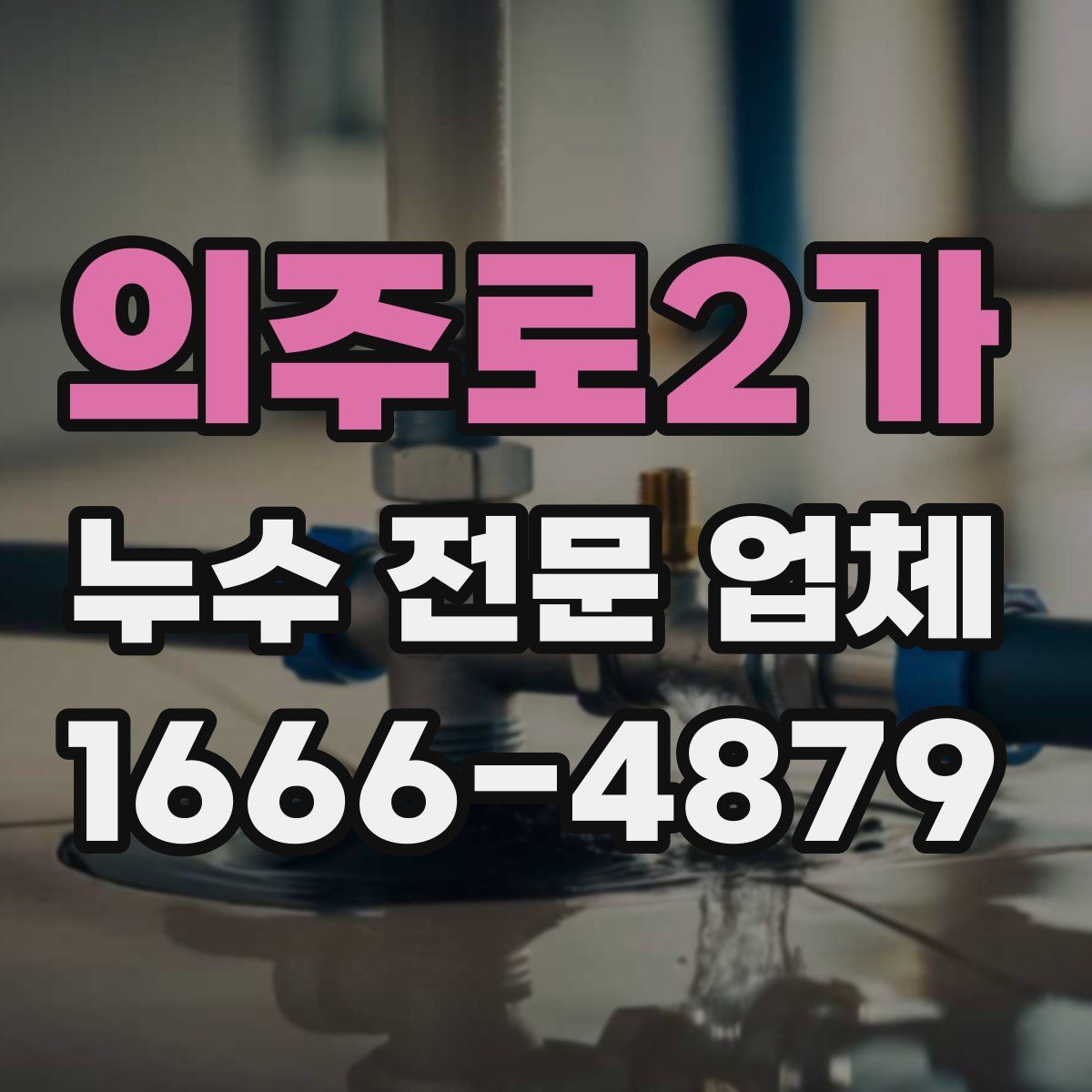 의주로2가 누수 전문 업체