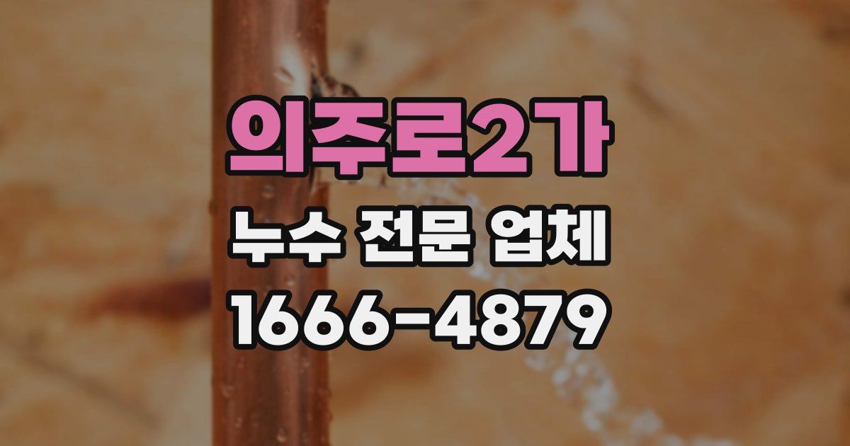 의주로2가 누수 전문 업체