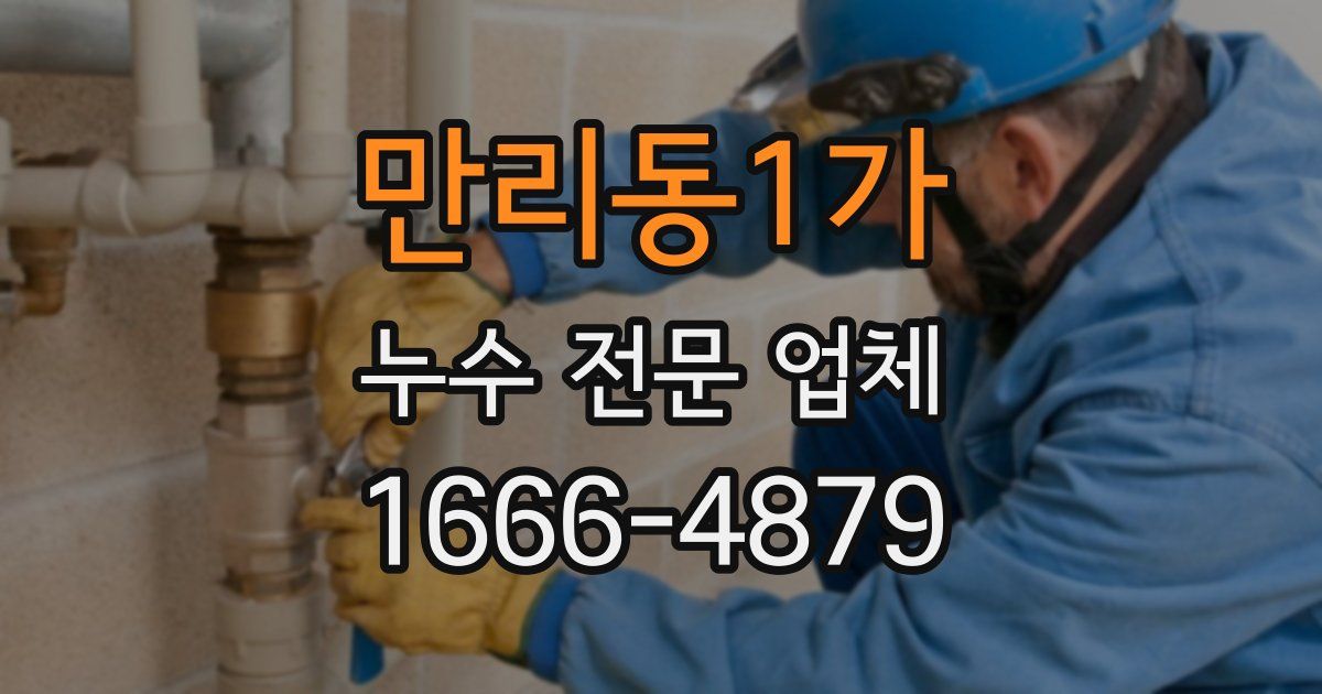 만리동1가 누수 전문 업체