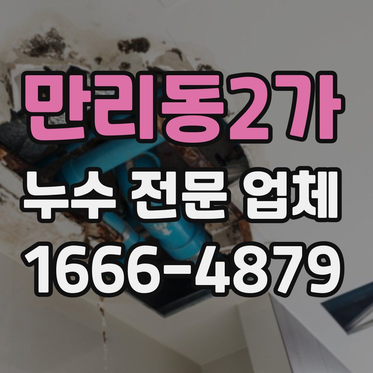 만리동2가 누수 전문 업체