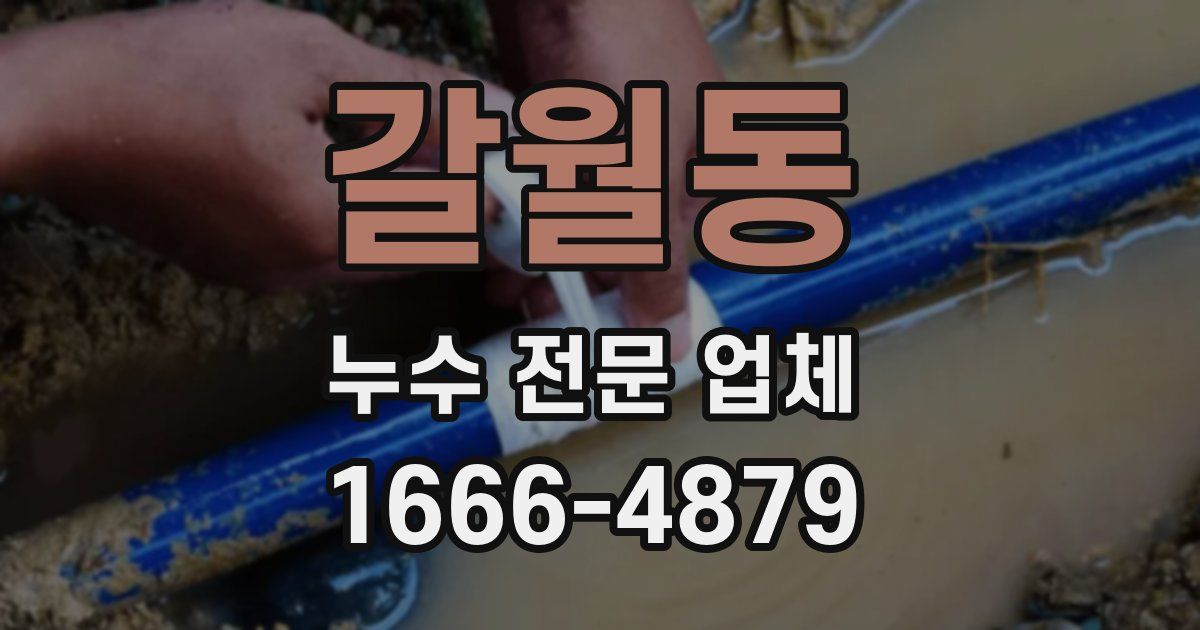 갈월동 누수 전문 업체