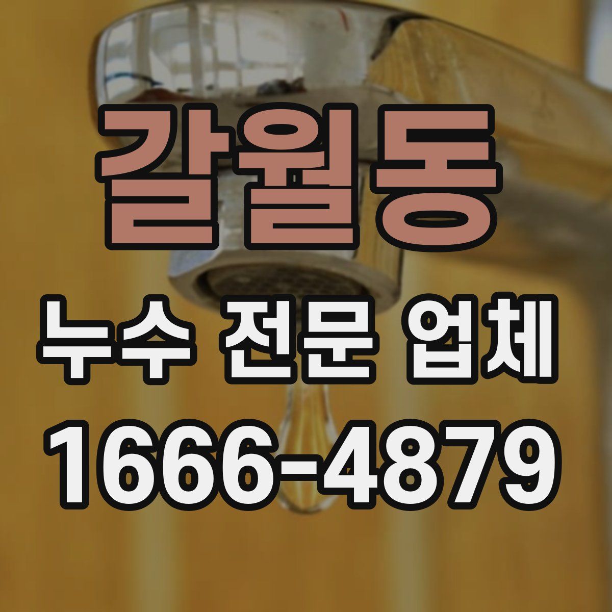 갈월동 누수 전문 업체