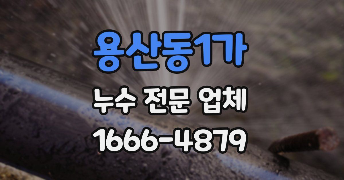 용산동1가 누수 전문 업체