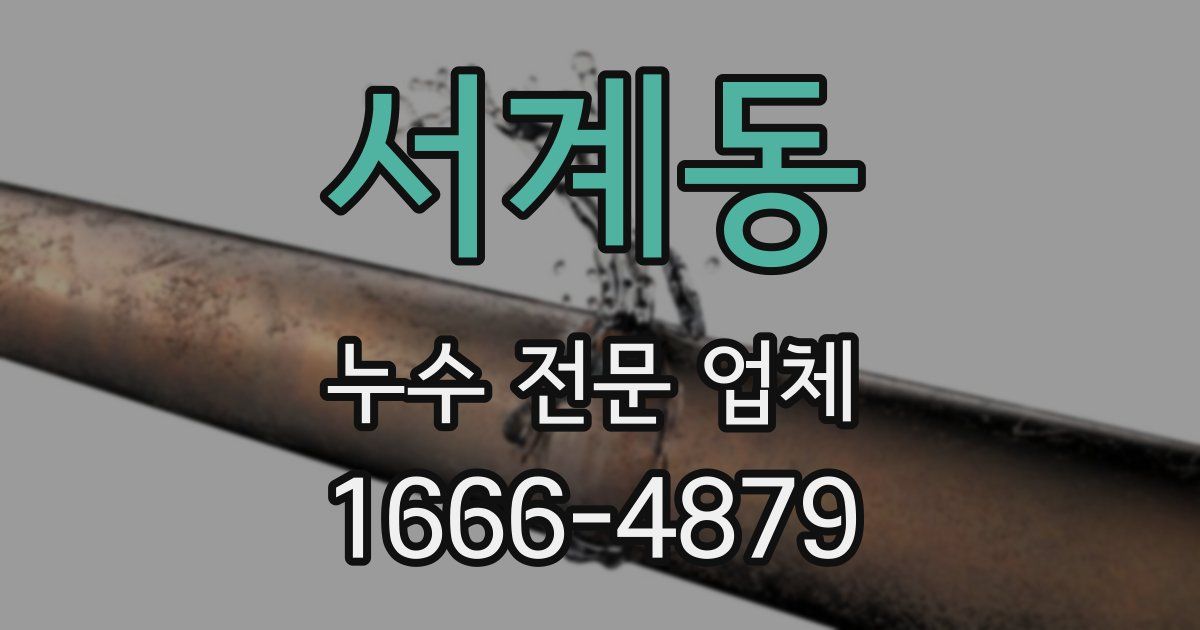 서계동 누수 전문 업체