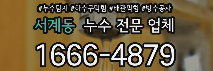 서계동 누수 전문 업체