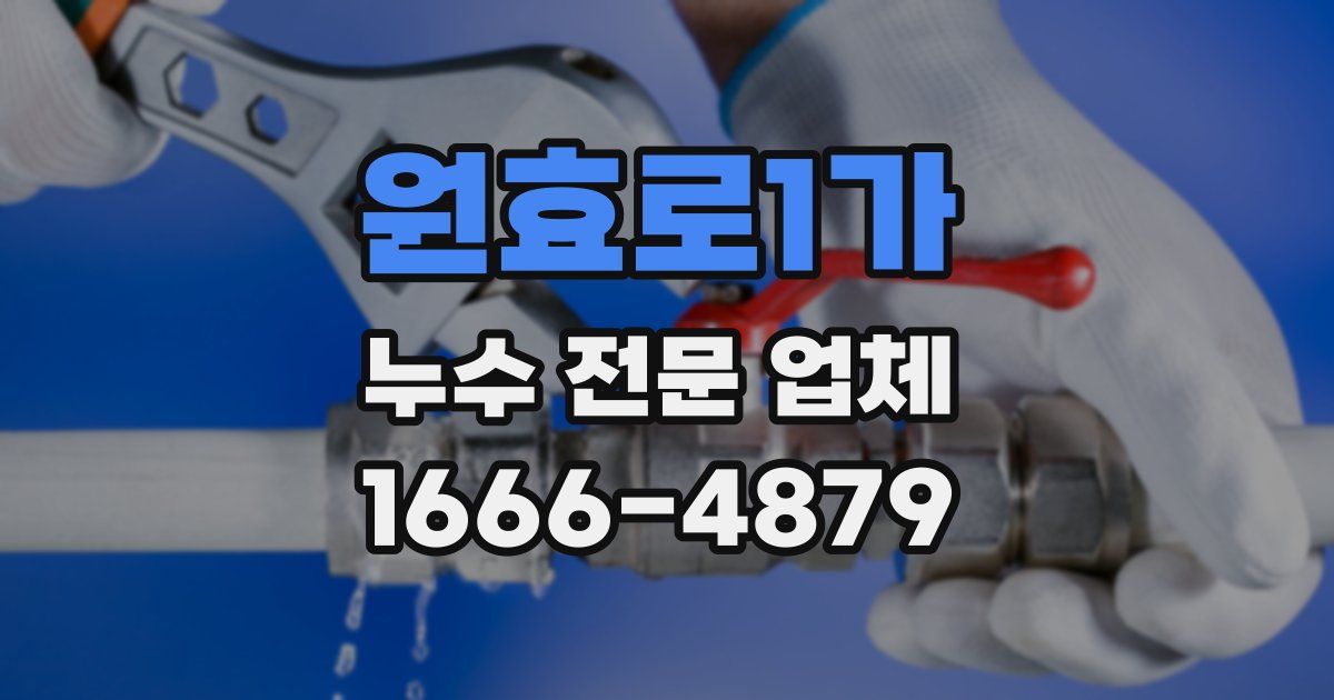 원효로1가 누수 전문 업체