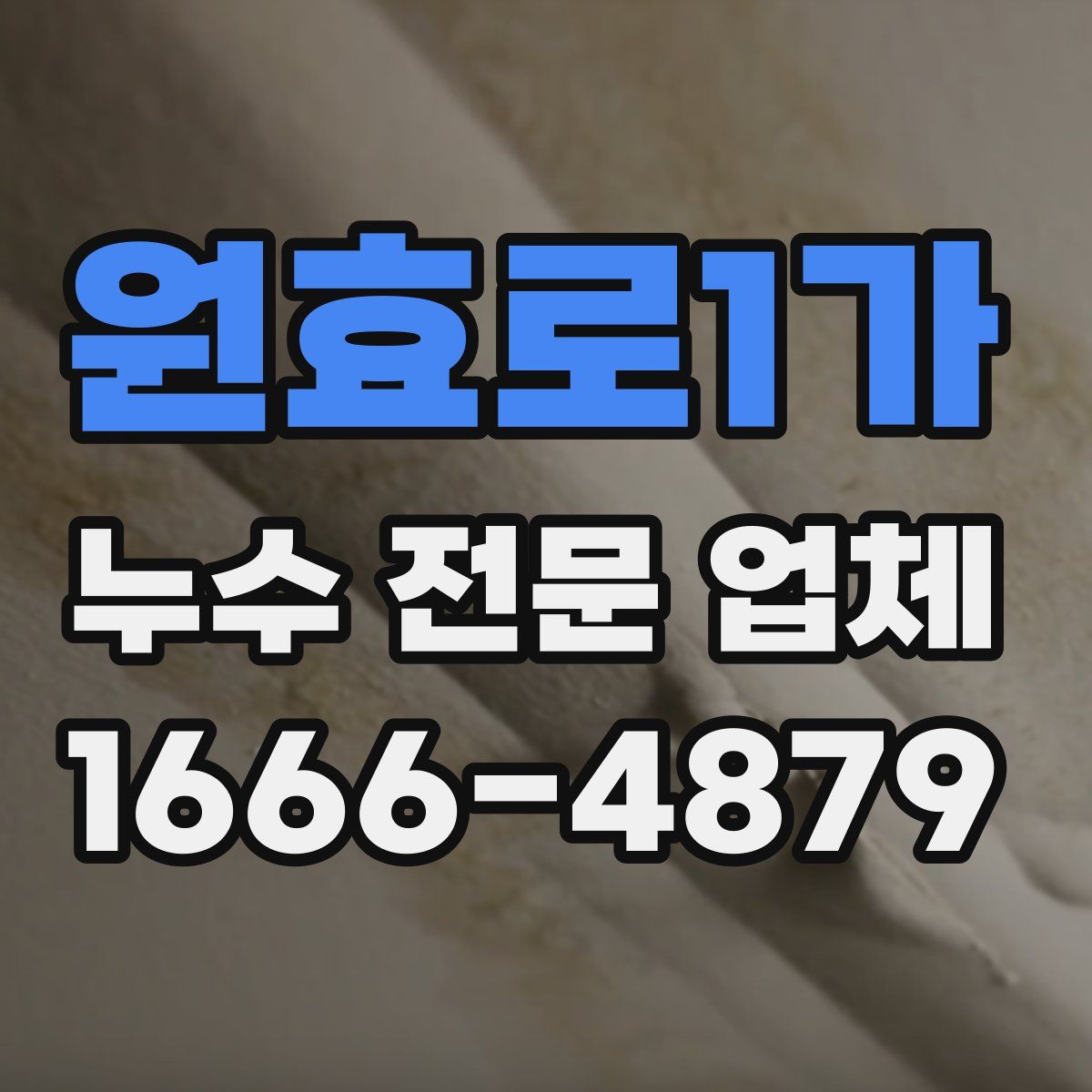 원효로1가 누수 전문 업체