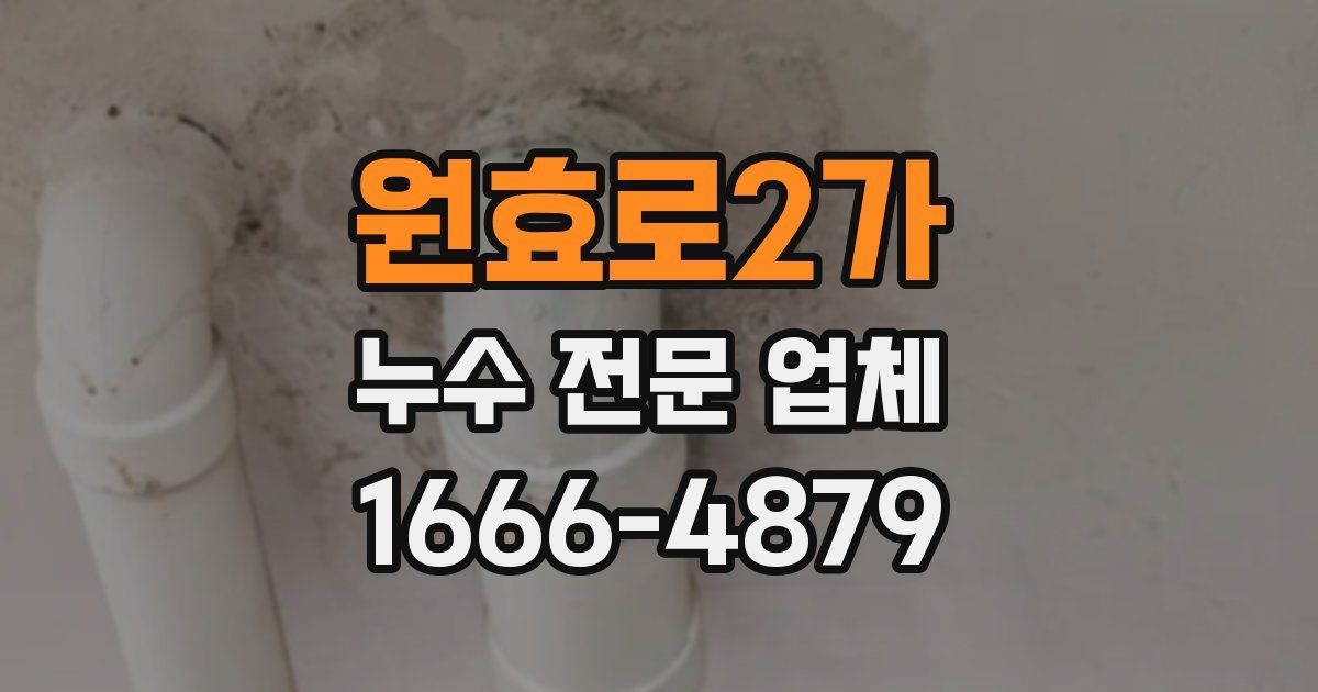 원효로2가 누수 전문 업체