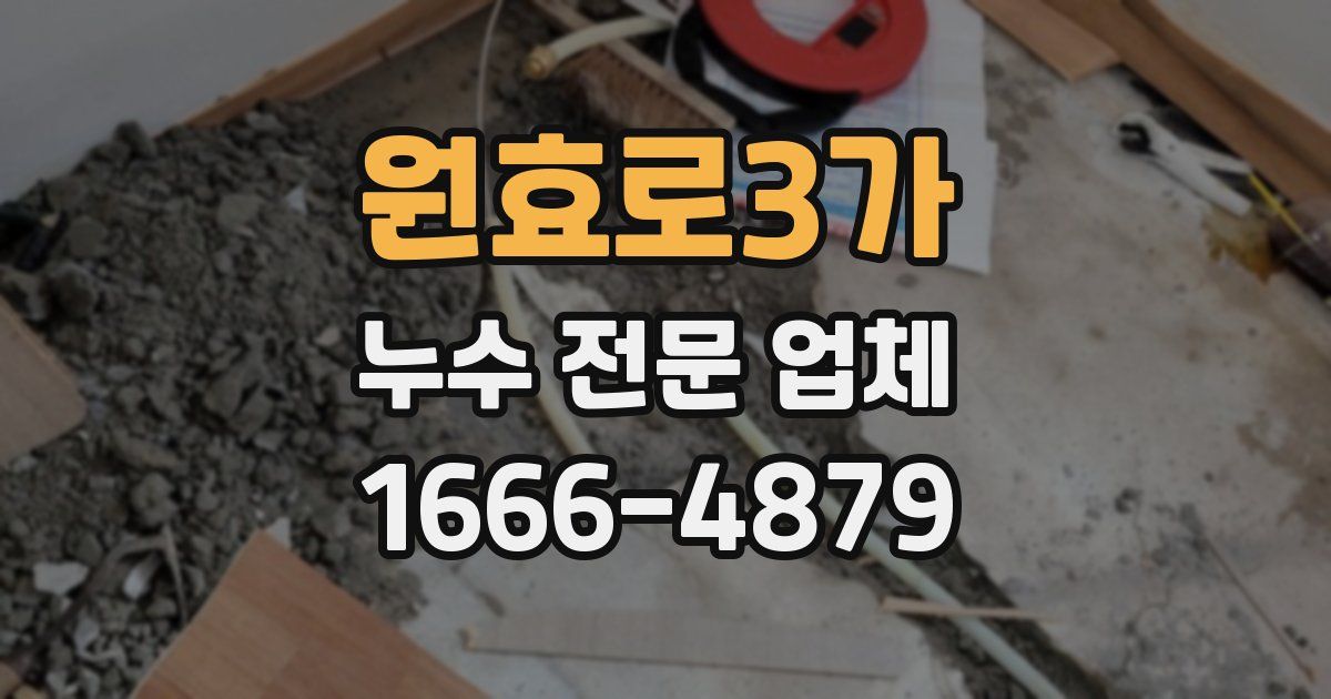 원효로3가 누수 전문 업체