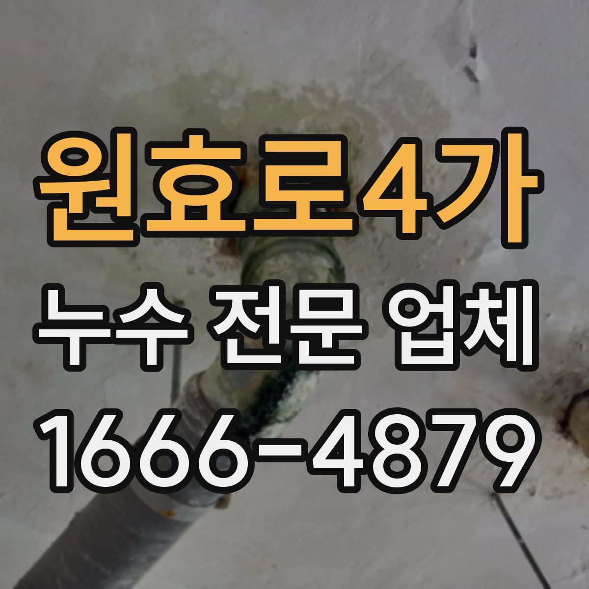원효로4가 누수 전문 업체